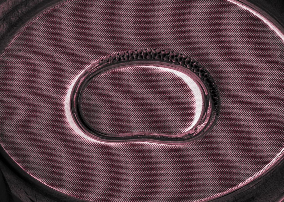 Close-up of a textured red circular surface with a metal ring at the center.